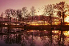 Solnedgång vid sjö med bro och träd reflekterade i vattnet, höstig stämning.